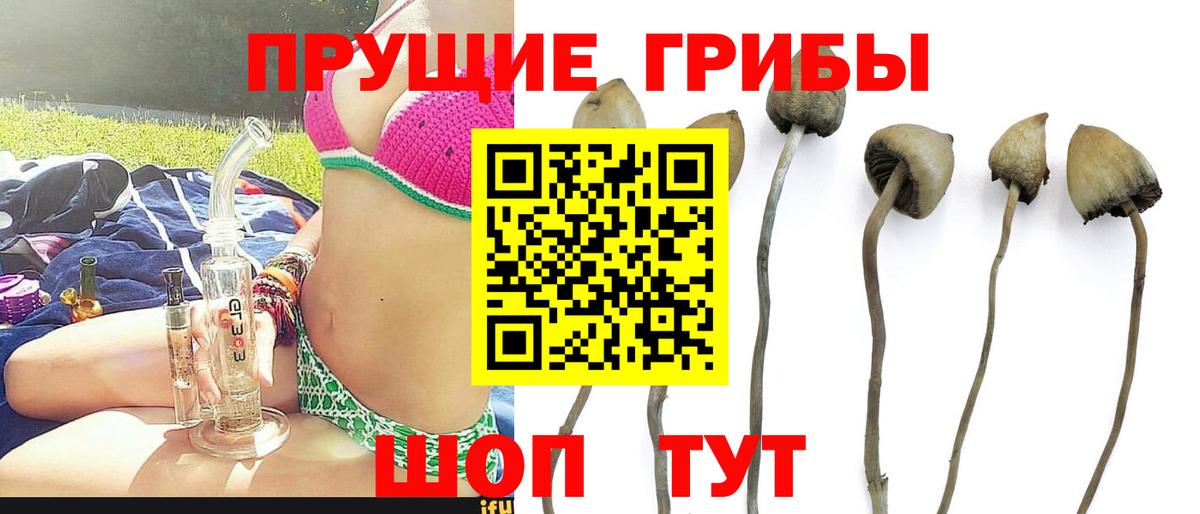 Галлюциногенные грибы Cubensis Донецк
